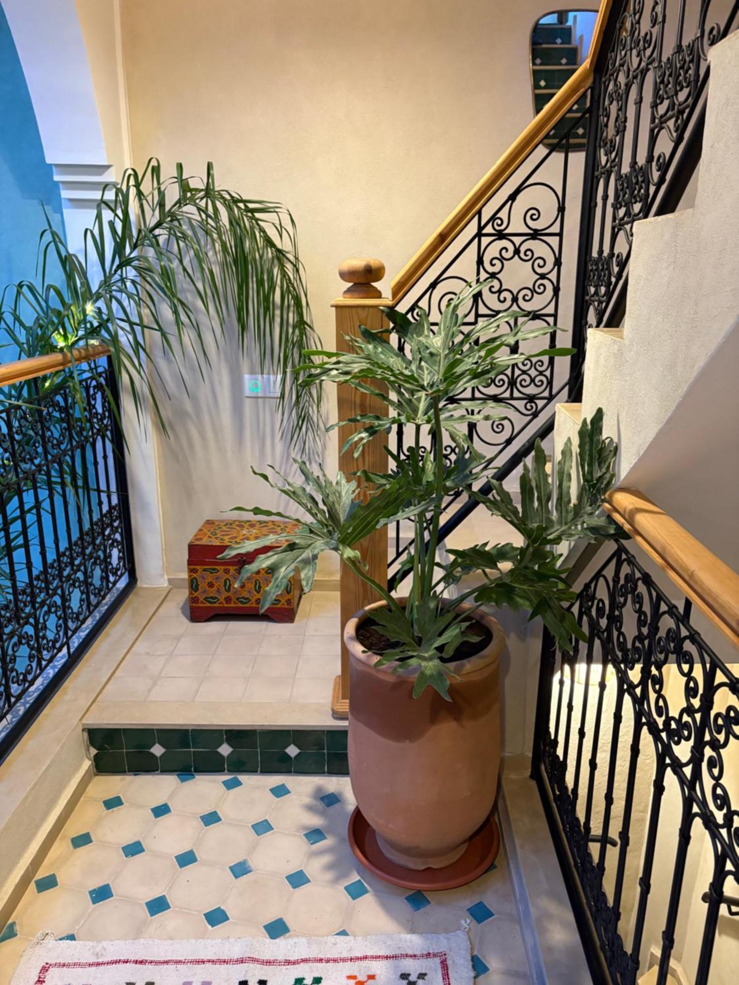 Riad212 Private Medina Fast Wi-Fi Plunge Pool マラケシュ エクステリア 写真